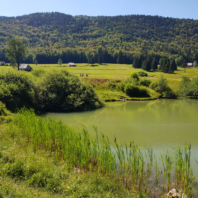 Vallon du Mariet - Bauges